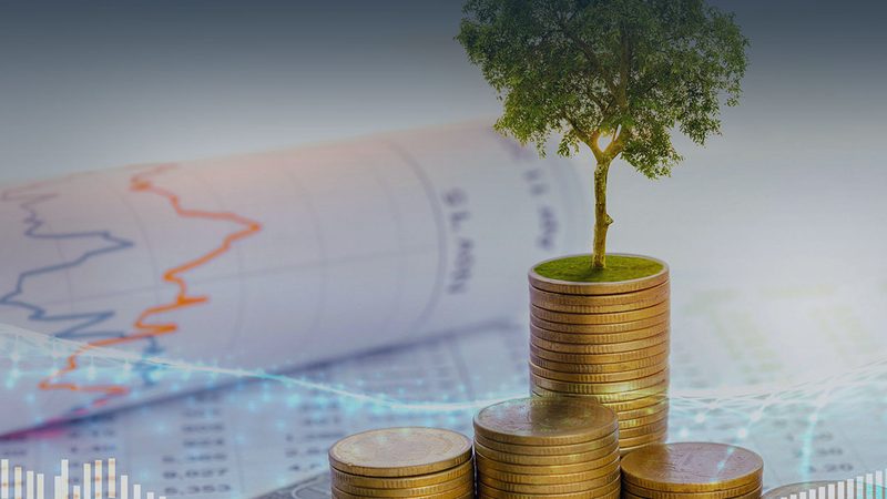 企业培训咨询收费标准揭秘：如何评估性价比与风险**